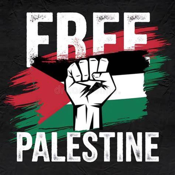 DJ Khaled Stands In Solidarity With Palestine's Freedom Struggle