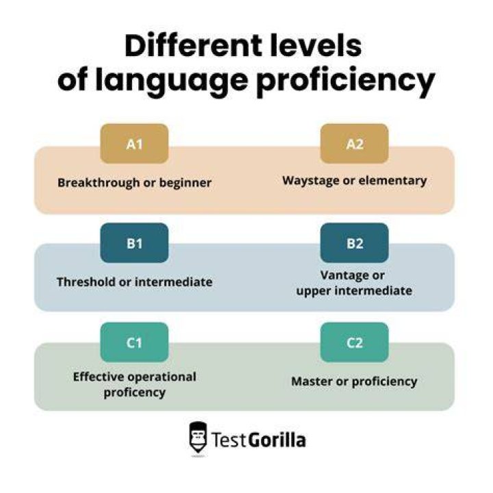 Does Ansel Elgort's Language Proficiency Extend To Japanese: An In-Depth Exploration