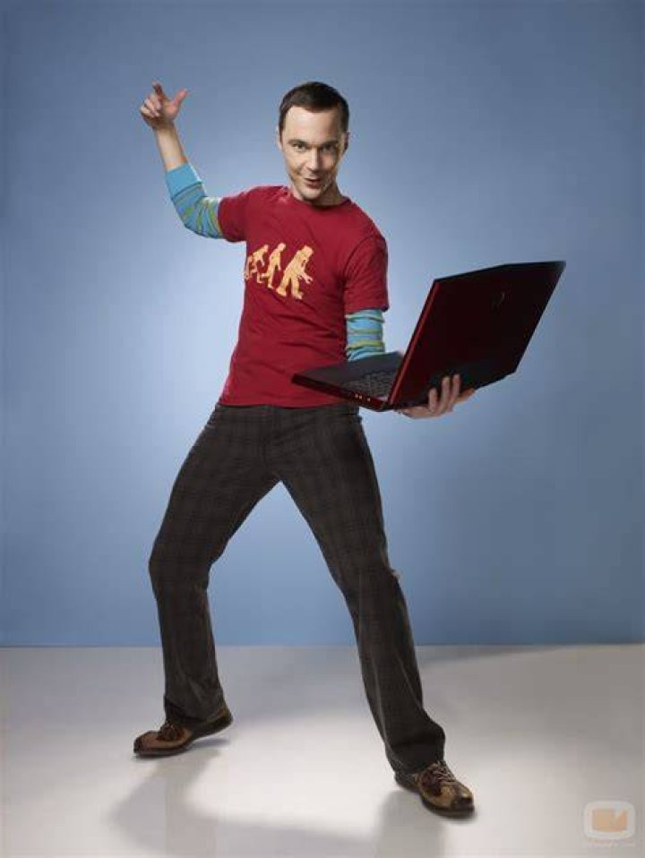 Dr. Sheldon Cooper's Eccentric Adventures In Season 8