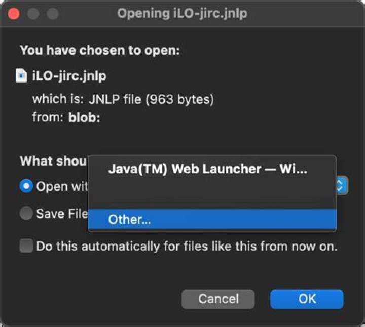 Easily Open .jnlp Files Online - Effortless Access To Your Apps