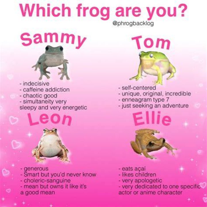 Enchanting Names For Your Adorable Frogs