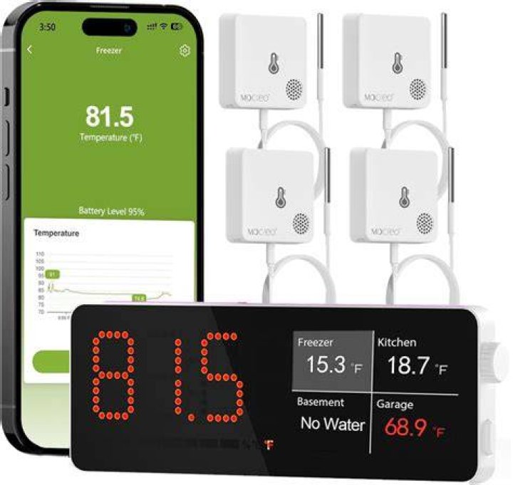 Enhancing Commercial Freezer Safety With Temperature Alarm Wifi