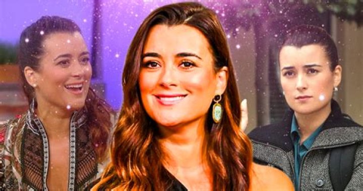 Ethnicity Spotlight: Cote De Pablo's Heritage And Background
