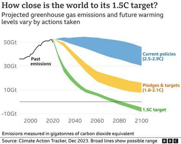 Exclusive Insights And Future Projections