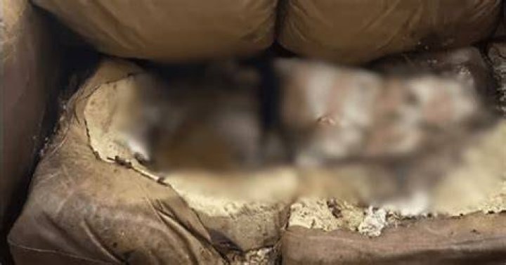 Exclusive: Lacey Fletcher Crime Scene Photographs Unveiled