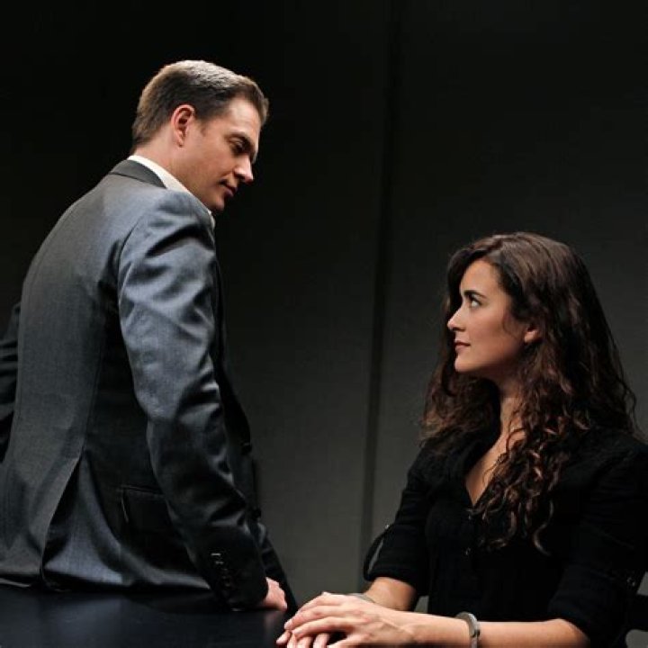Exclusive Scoop: Cote De Pablo And Michael Weatherly's Secret Union