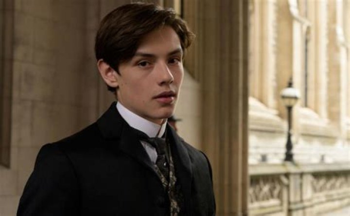 Explore Louis Partridge's Filmography: Movies And TV Shows