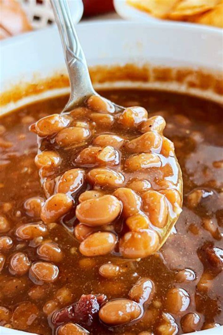 Exploring Bush's Baked Beans For Dogs