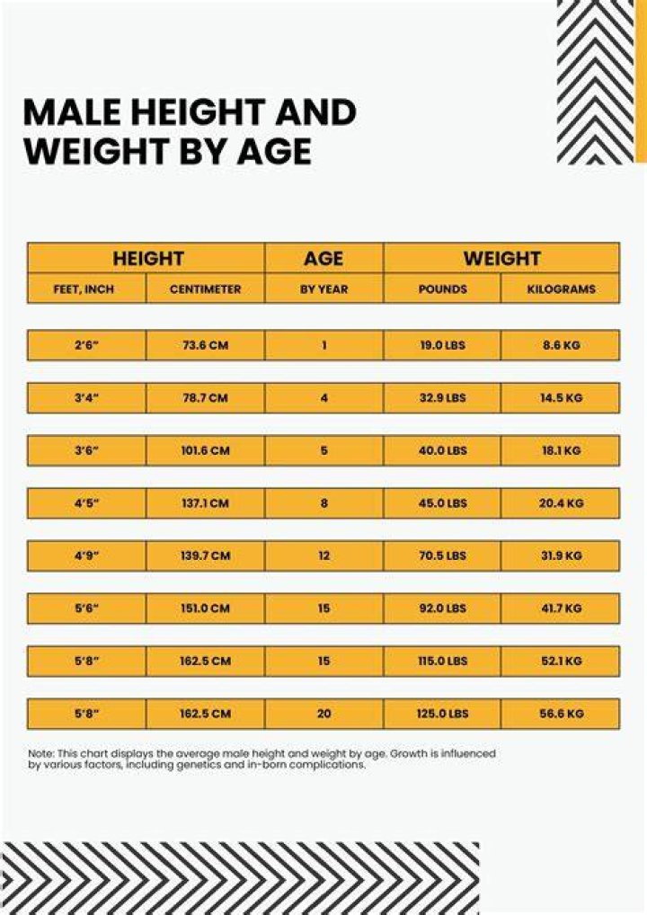 Exploring Jeremy Allen White's Height And Weight