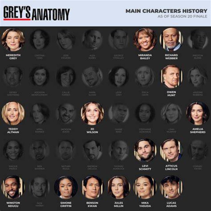 Exploring The Iconic Character From Grey's Anatomy