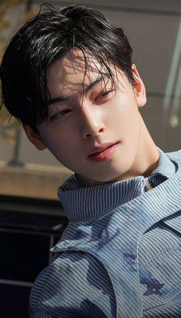 Exploring The Ideal Type Of Cha Eun Woo