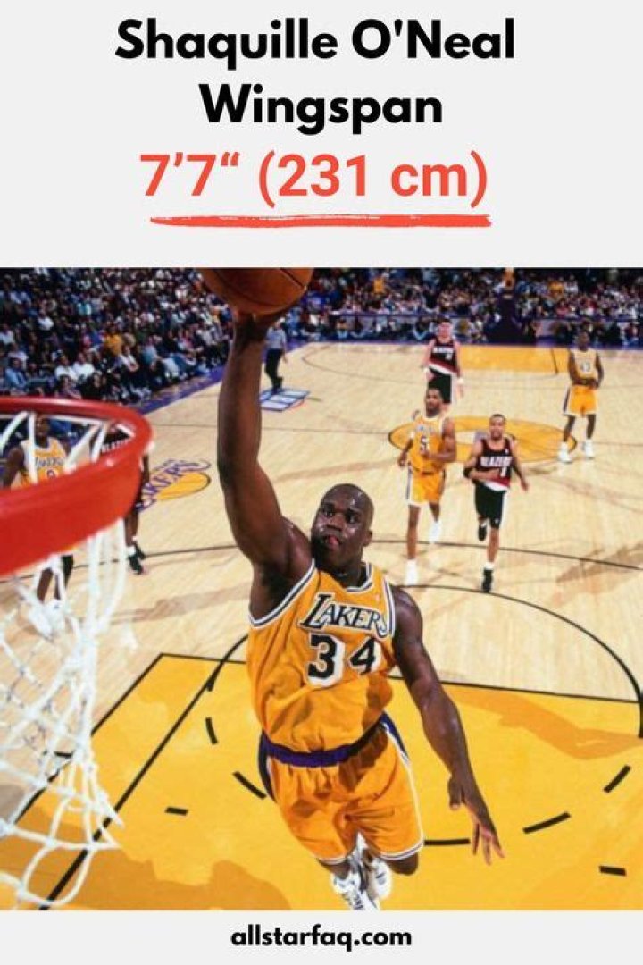 Exploring The Impressive Shaq's Wingspan