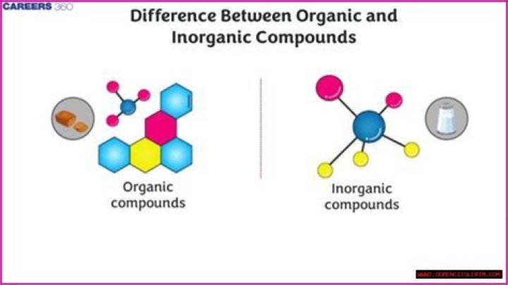 Exploring The Key Differences Between Organic And Inorganic Molecules