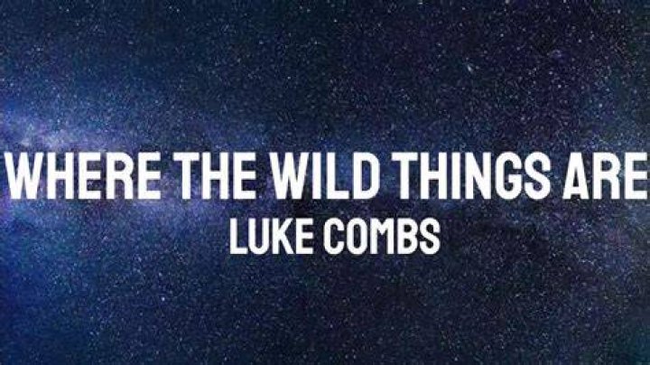 Exploring The Meaning Behind "Where The Wild Things Are" By Luke Combs