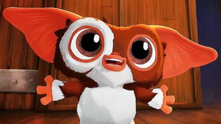 Exploring The Mysterious World Of Gizmo Gremlins