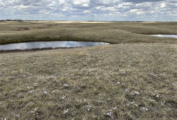 Exploring The Wildlife Of Saskatchewan