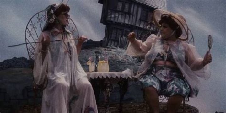 Find an Actor to Play Aunt Spiker / Aunt Sponge in James and the Giant Peach on myCast