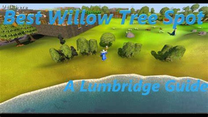 Find The Best Willow Sapling OSRS Locations And Tips