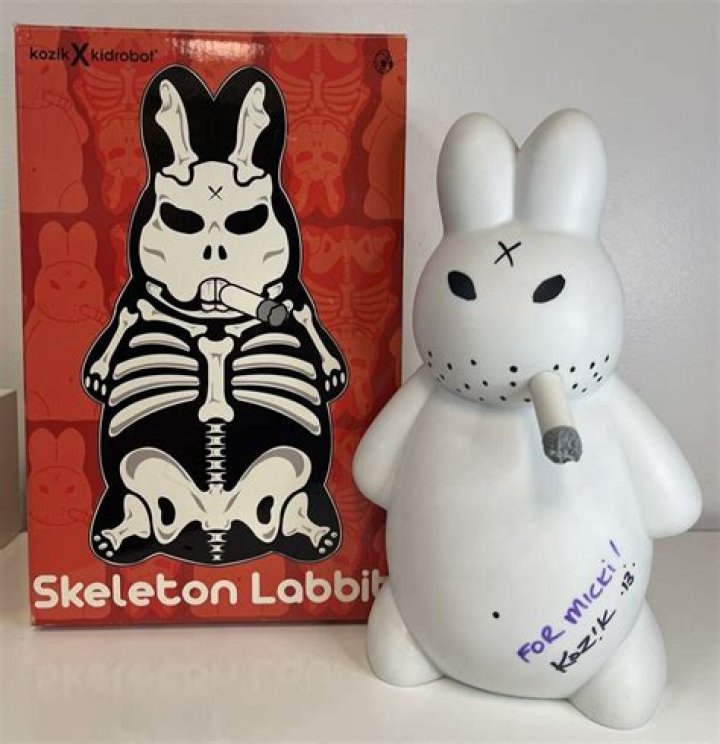 Frank Kozik Labbit Kidrobot Artist Cause Of Death