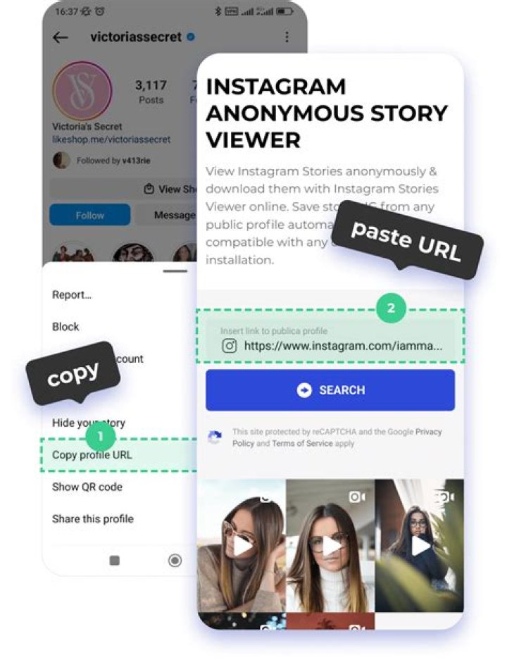Free Private Instagram Viewer. Watch Private Stories Anonymously