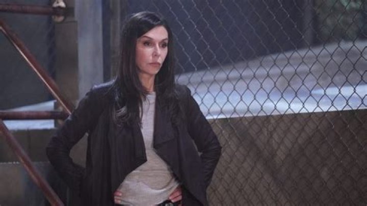 General Hospital Spoilers: Anna Devane Return Date Postponed Finola Hughes Facing GH Contr
