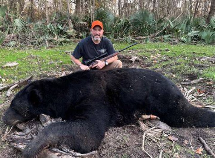 Get Ready For The Exhilarating Bear Season In North Carolina