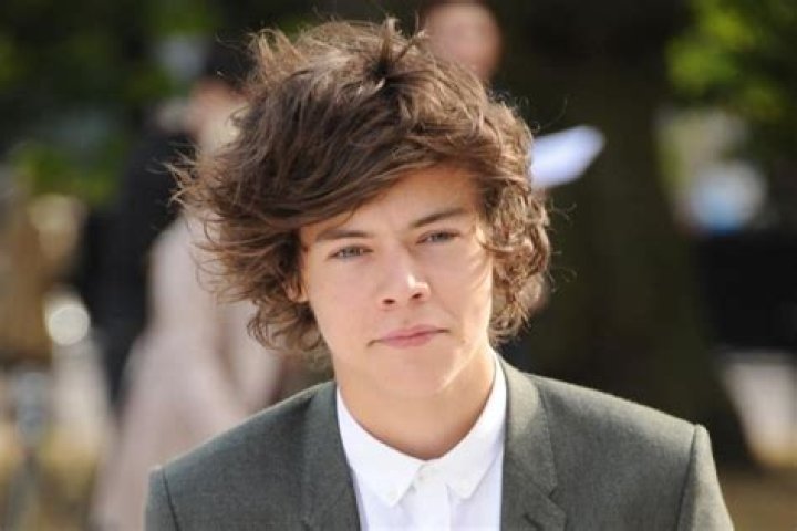 Harry Styles' Career Timeline From Start To Stardom