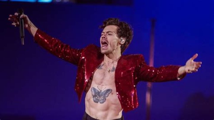 Harry Styles Has Four Nipples and We've Got Proof