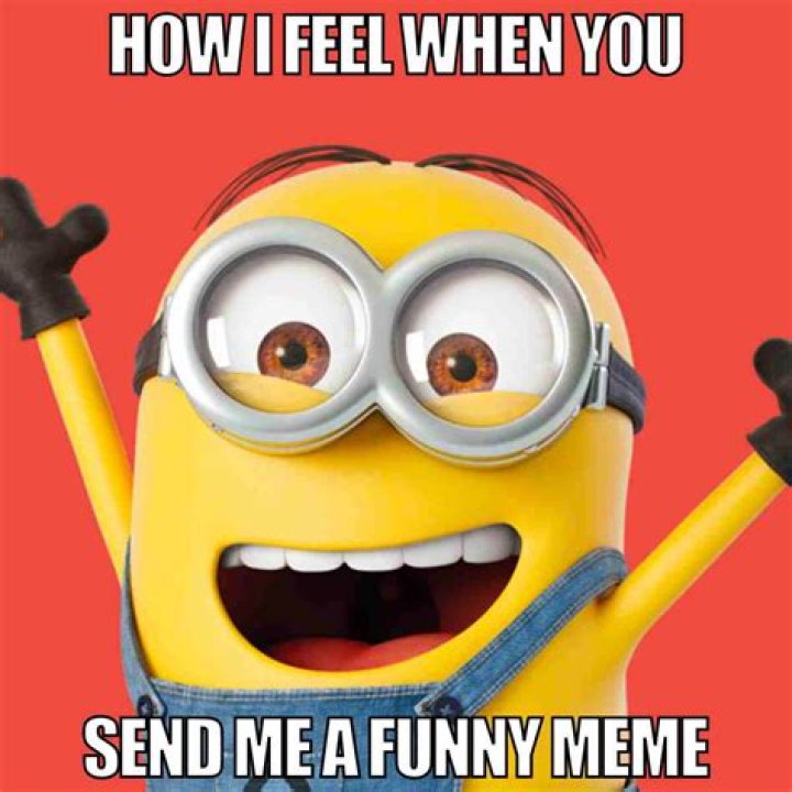 Hilarious Minion Memes To Brighten Your Day