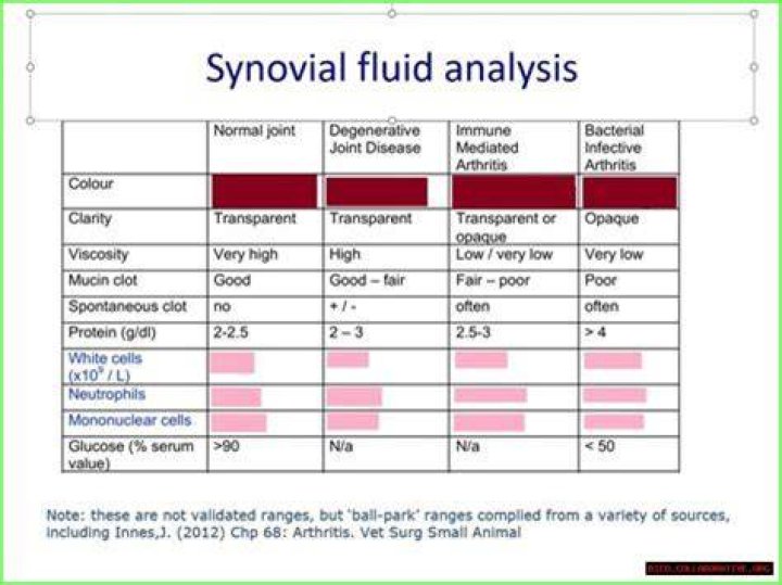 How Synovial Fluid Is Created: An In-Depth Guide