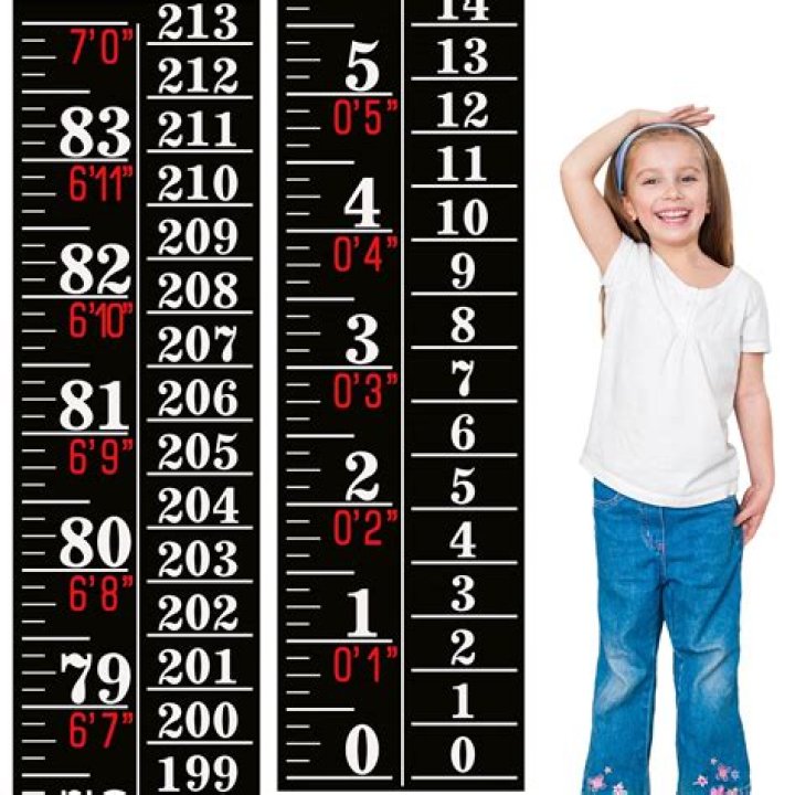 How Tall Are They In Inches?
