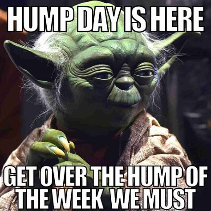 Humorous Hump Day Memes To Get You Through The Week