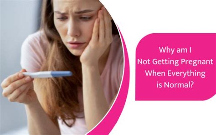 I get multiple messages a day asking why I am not pregnant yet