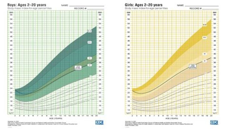 Identifying Chris Christie's Age And Weight: An In-Depth Exploration