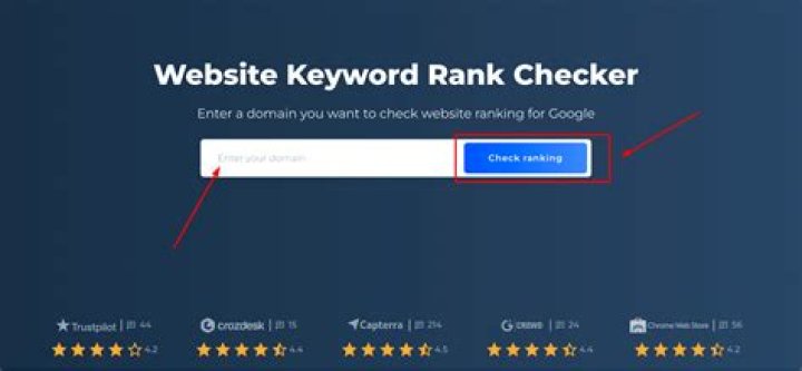 Instantly Check Your Google Website Ranking