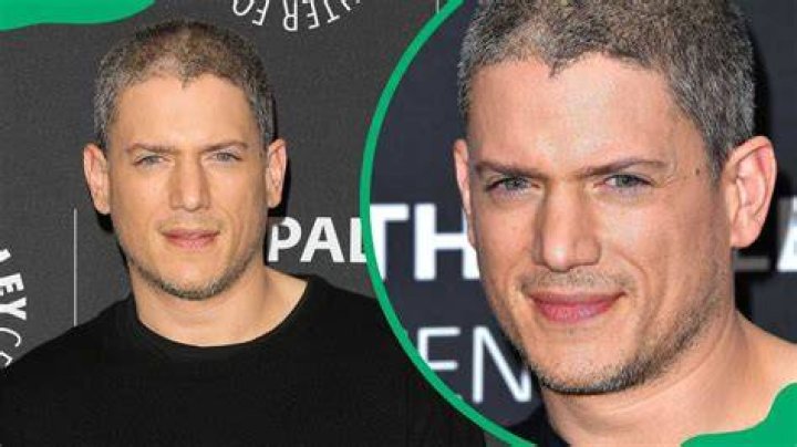 Intriguing Details: Wentworth Miller's Current Relationship Status Unveiled