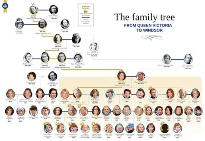 Intriguing Facts: The Family Lineage Of Olivia Rodrigo