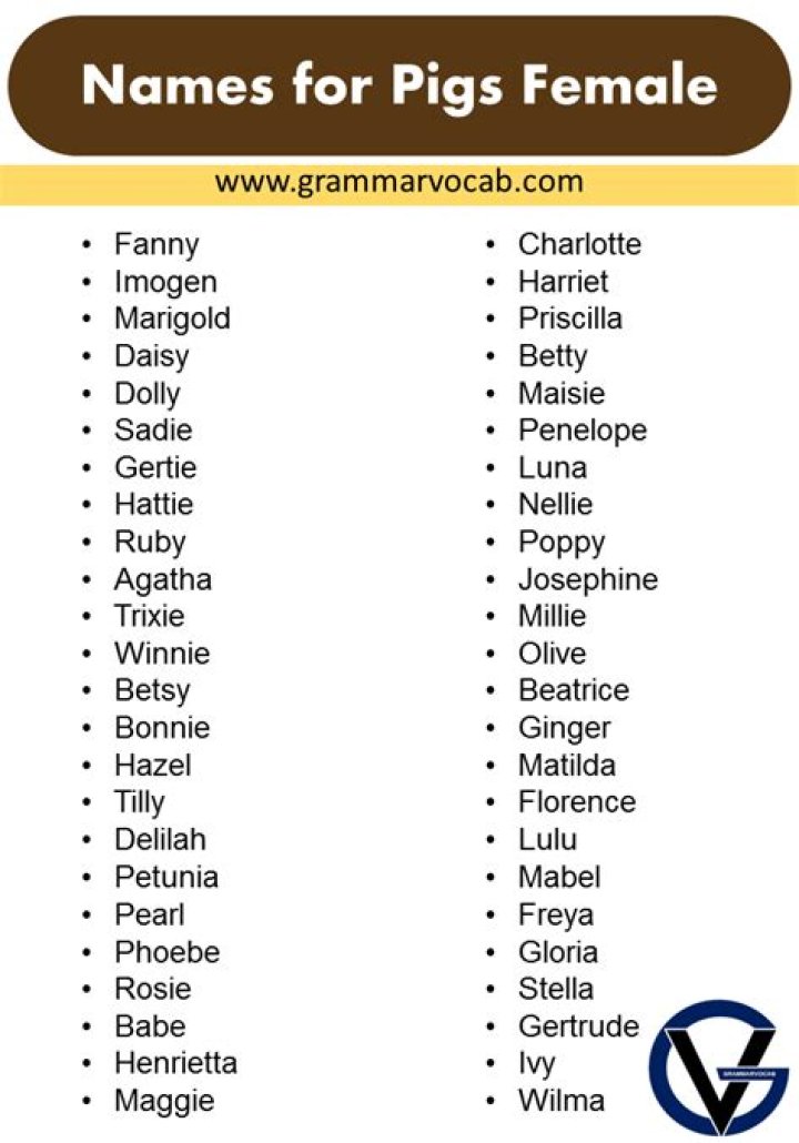 Intriguing Female Pig Names: A Comprehensive Guide