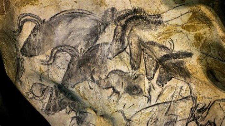 Intriguing Insights And Astonishing Discoveries