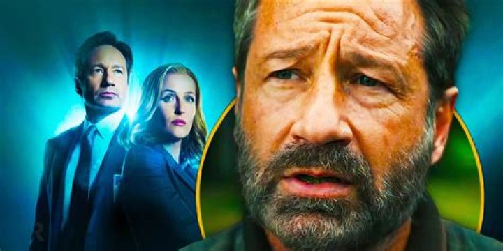 Intriguing Insights On Actor David Duchovny