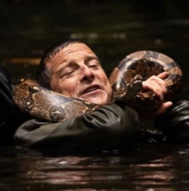 Is Bear Grylls Really Dead? Uncovering The Truth