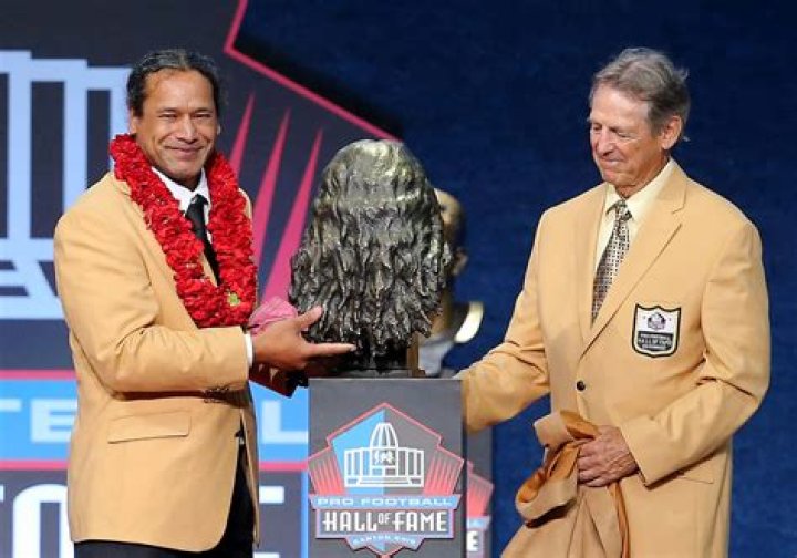 Is NFL Star Troy Polamalu Hitched?