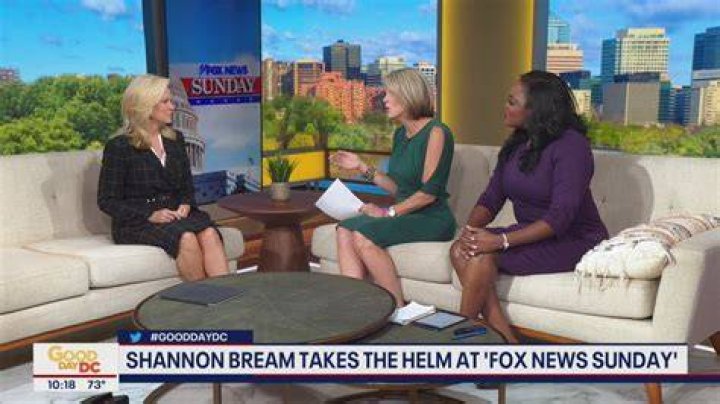 Is Shannon Bream, The Accomplished Fox News Anchor, A Mother?
