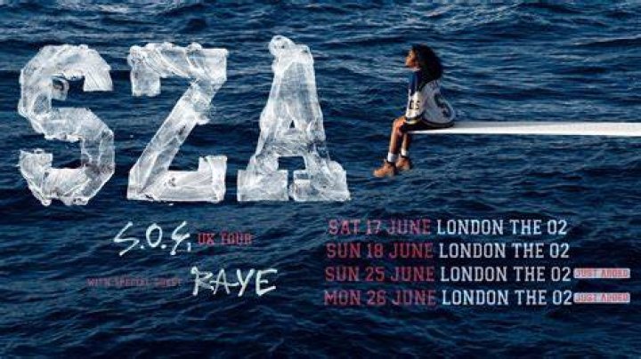 Is SZA Mixed Race? Exploring The Artist's Heritage
