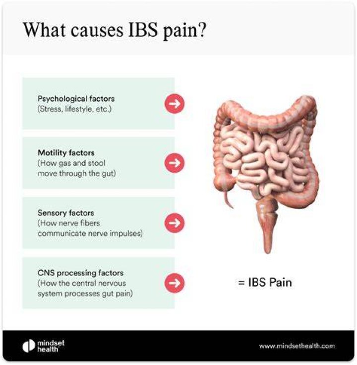 Is Your Chest Pain Related To IBS? Find Out Here