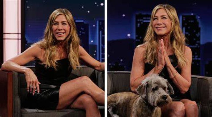 Jennifer Aniston's Beloved Dog, Norman: A Tail-Wagging Companion