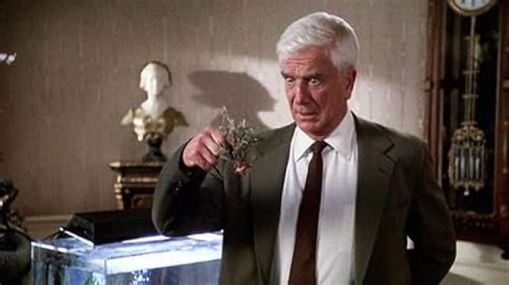 JiveSync | Leslie Nielsen