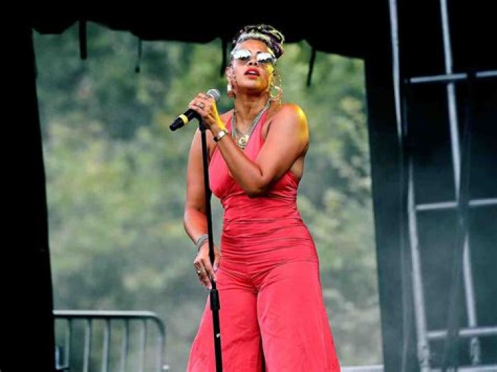 Kelis Age: Everything You Need To Know