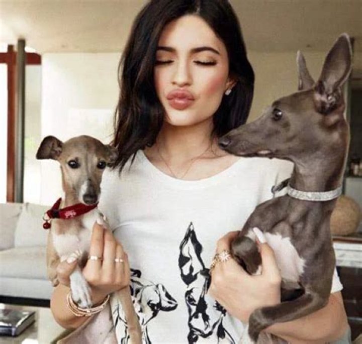 Kylie Jenner Admits Her Best Hire Was a Dog Nanny for Her 7 Italian Greyhounds