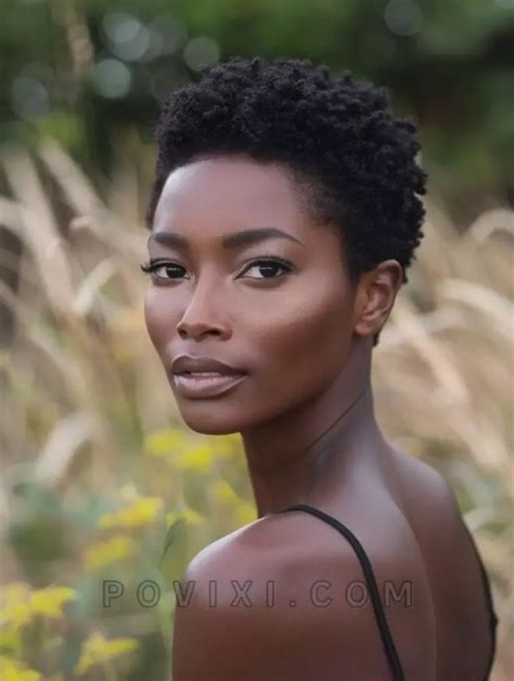 Latest Short Natural Haircuts For Black Women Of 2018
